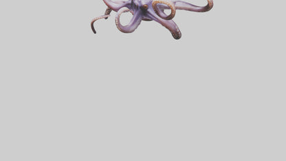 3D model Octopus Tentacles Model VR / AR / low-poly