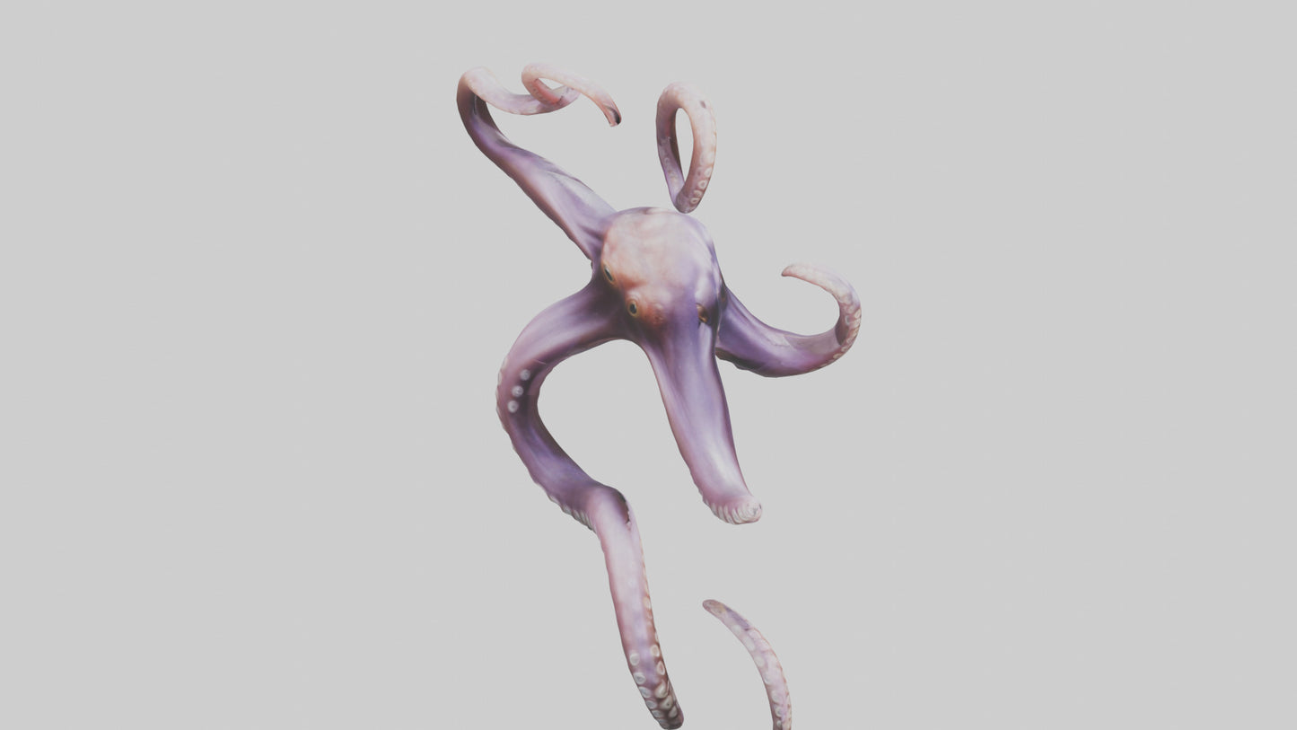 3D model Octopus Tentacles Model VR / AR / low-poly
