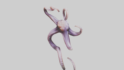 3D model Octopus Tentacles Model VR / AR / low-poly