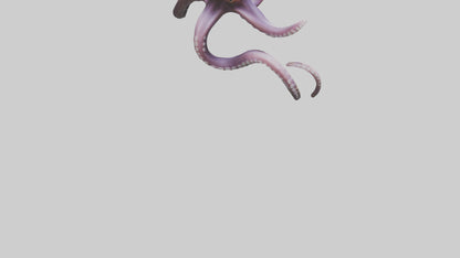 3D model Octopus Tentacles Model VR / AR / low-poly