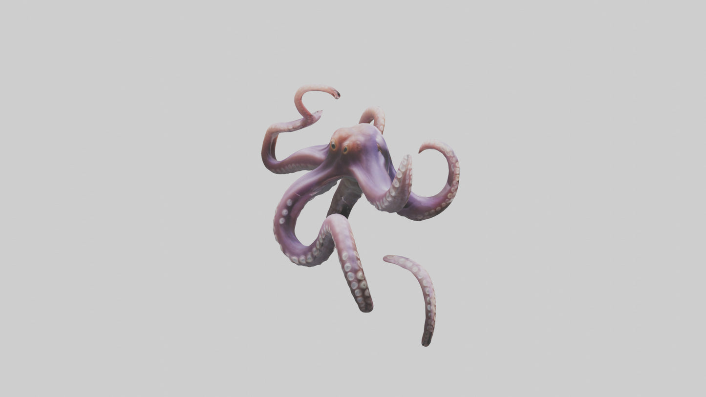 3D model Octopus Tentacles Model VR / AR / low-poly
