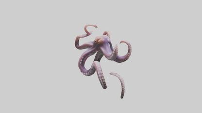 3D model Octopus Tentacles Model VR / AR / low-poly
