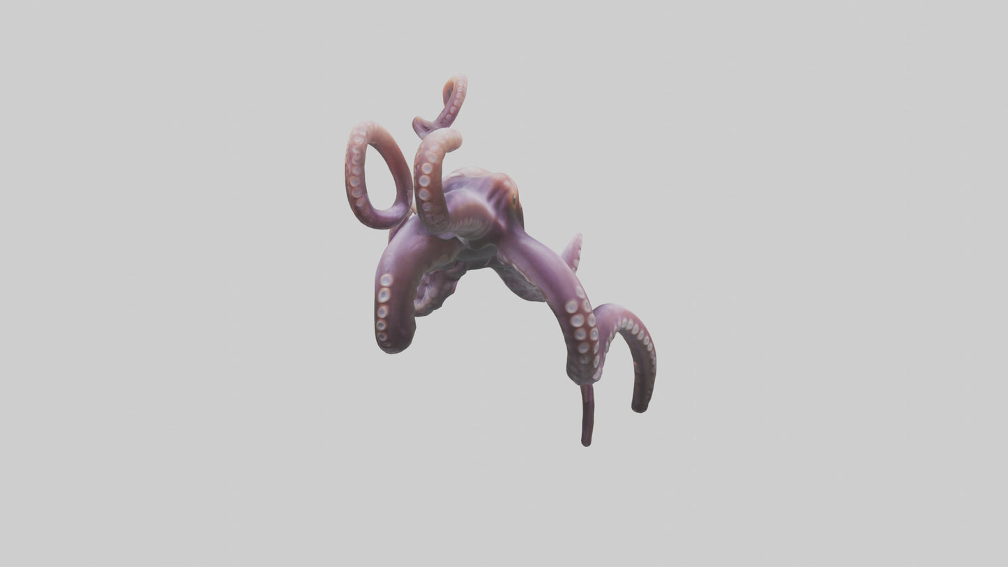 3D model Octopus Tentacles Model VR / AR / low-poly