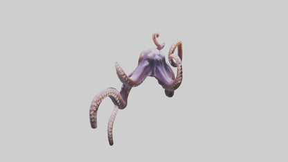 3D model Octopus Tentacles Model VR / AR / low-poly