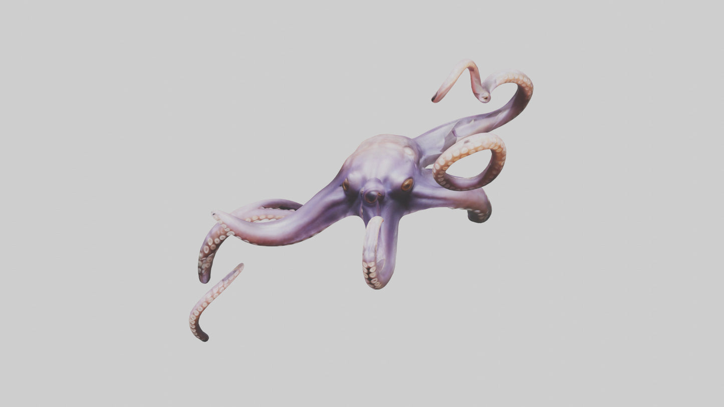 3D model Octopus Tentacles Model VR / AR / low-poly