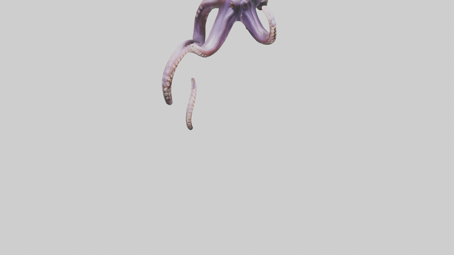 3D model Octopus Tentacles Model VR / AR / low-poly
