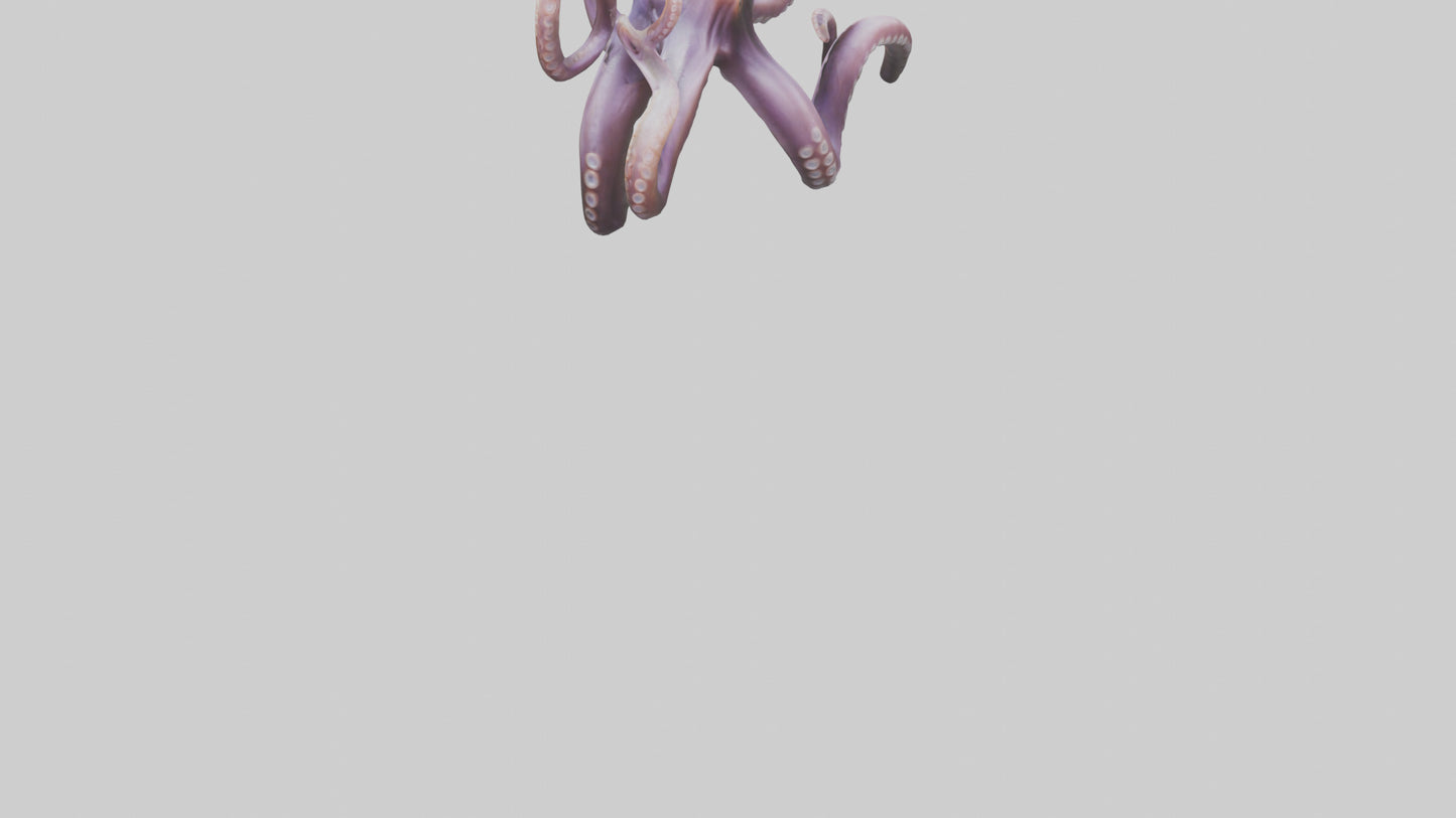 3D model Octopus Tentacles Model VR / AR / low-poly