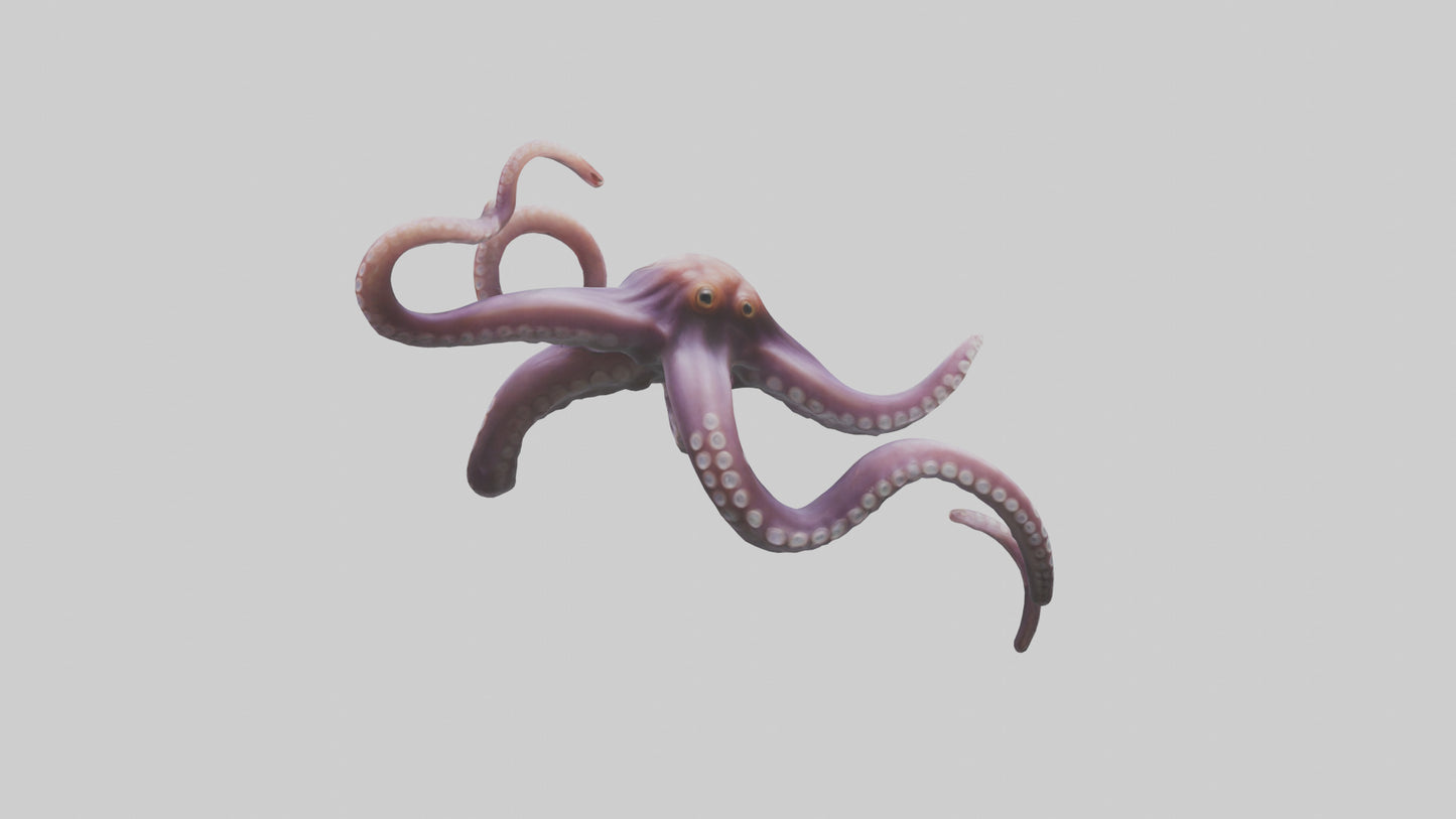 3D model Octopus Tentacles Model VR / AR / low-poly