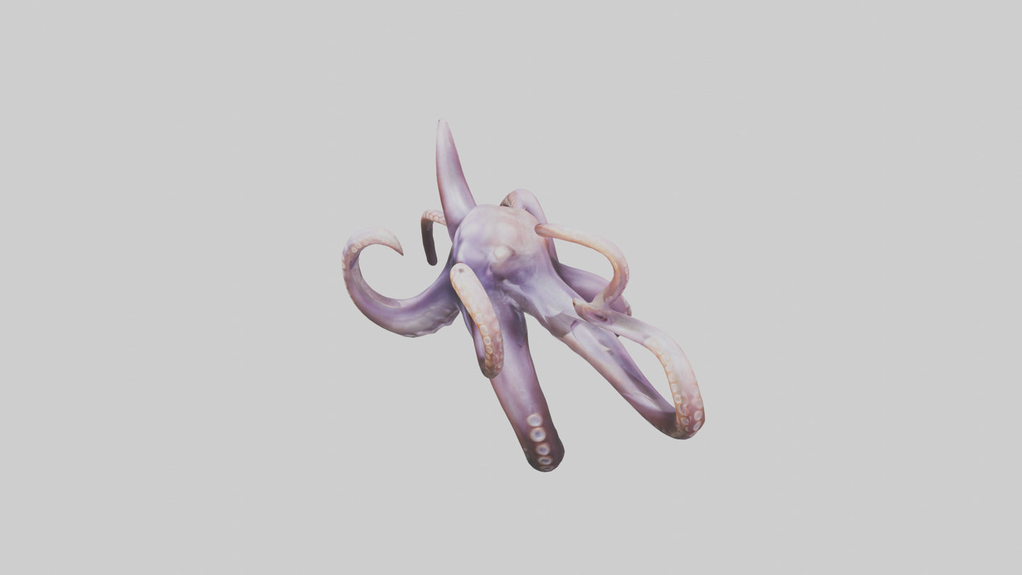 3D model Octopus Tentacles Model VR / AR / low-poly