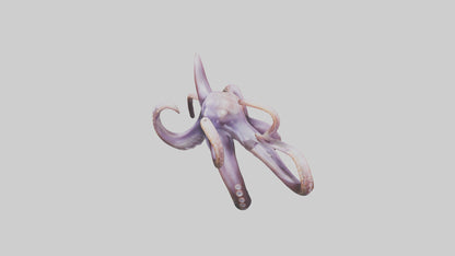 3D model Octopus Tentacles Model VR / AR / low-poly
