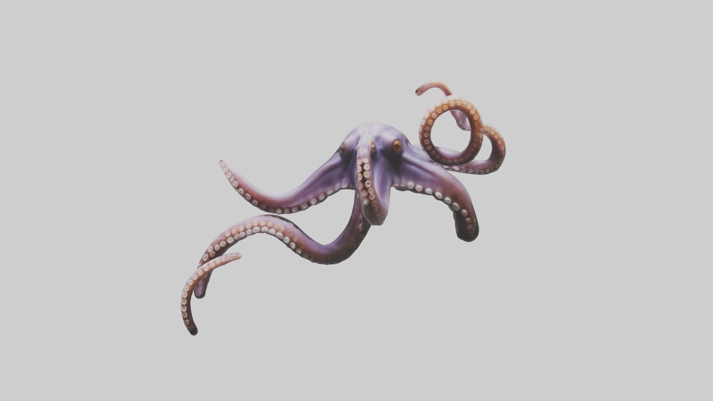 3D model Octopus Tentacles Model VR / AR / low-poly