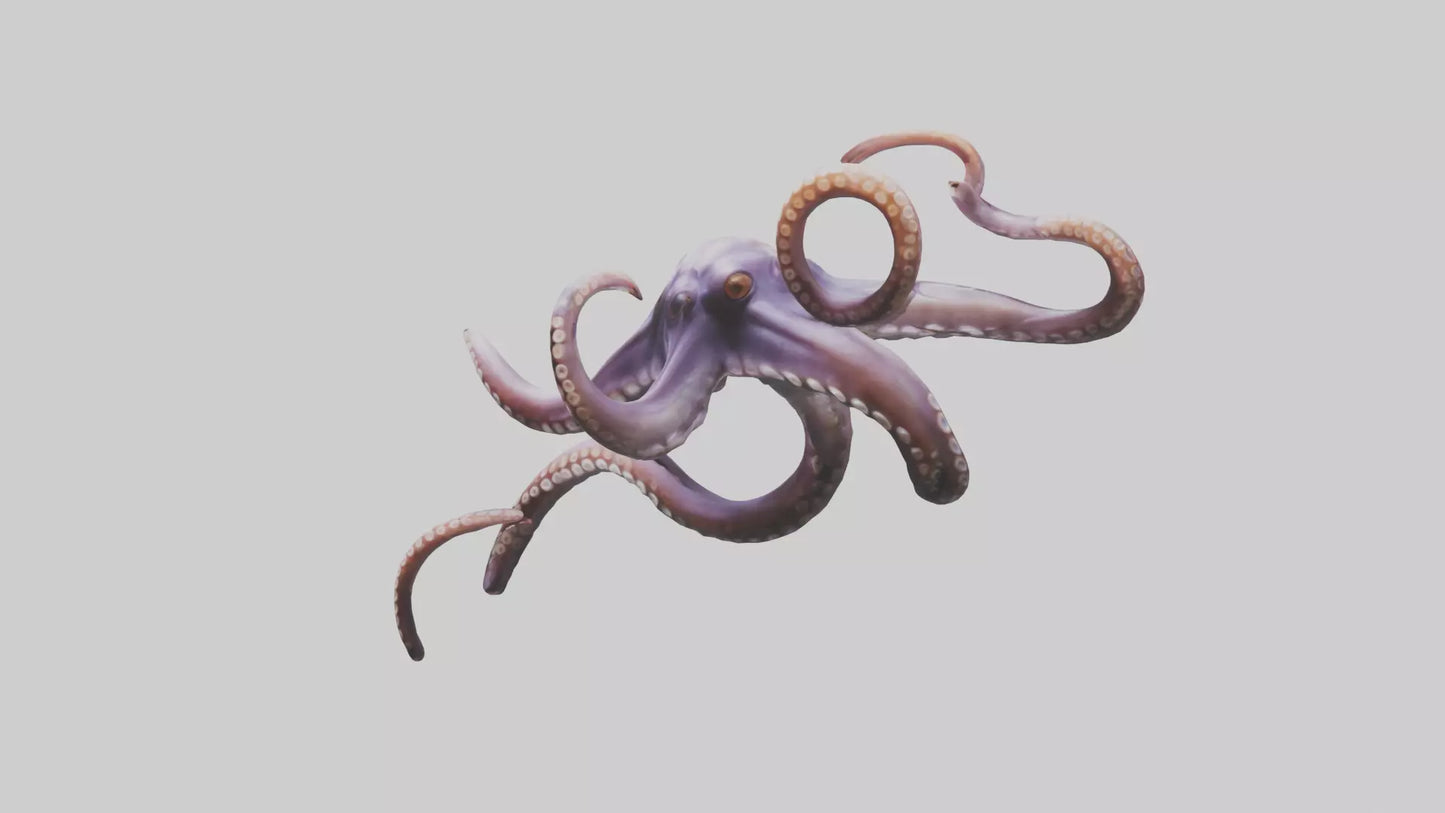 3D model Octopus Tentacles Model VR / AR / low-poly