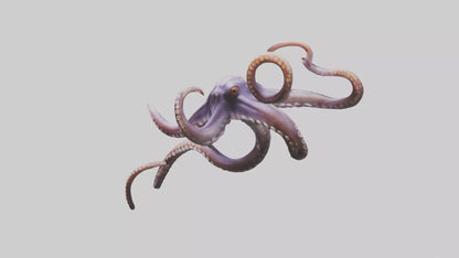 3D model Octopus Tentacles Model VR / AR / low-poly