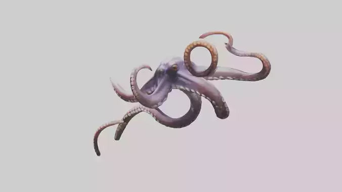 3D model Octopus Tentacles Model VR / AR / low-poly
