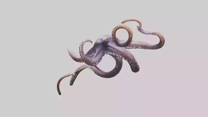 3D model Octopus Tentacles Model VR / AR / low-poly