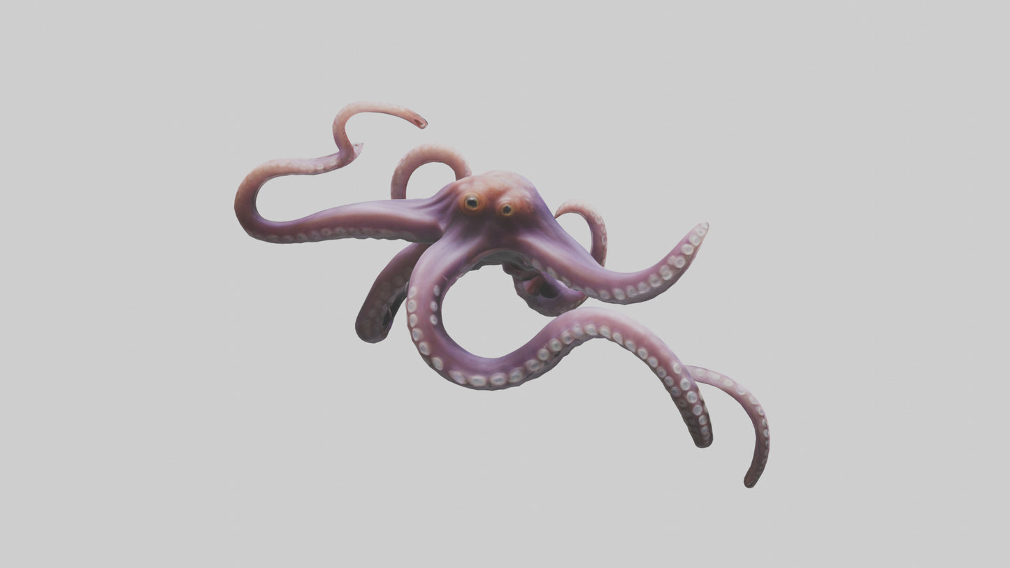 3D model Octopus Tentacles Model VR / AR / low-poly