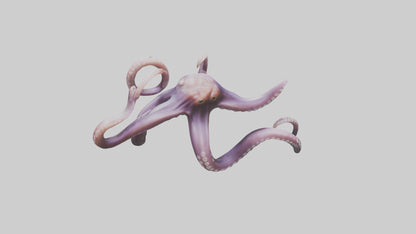 3D model Octopus Tentacles Model VR / AR / low-poly
