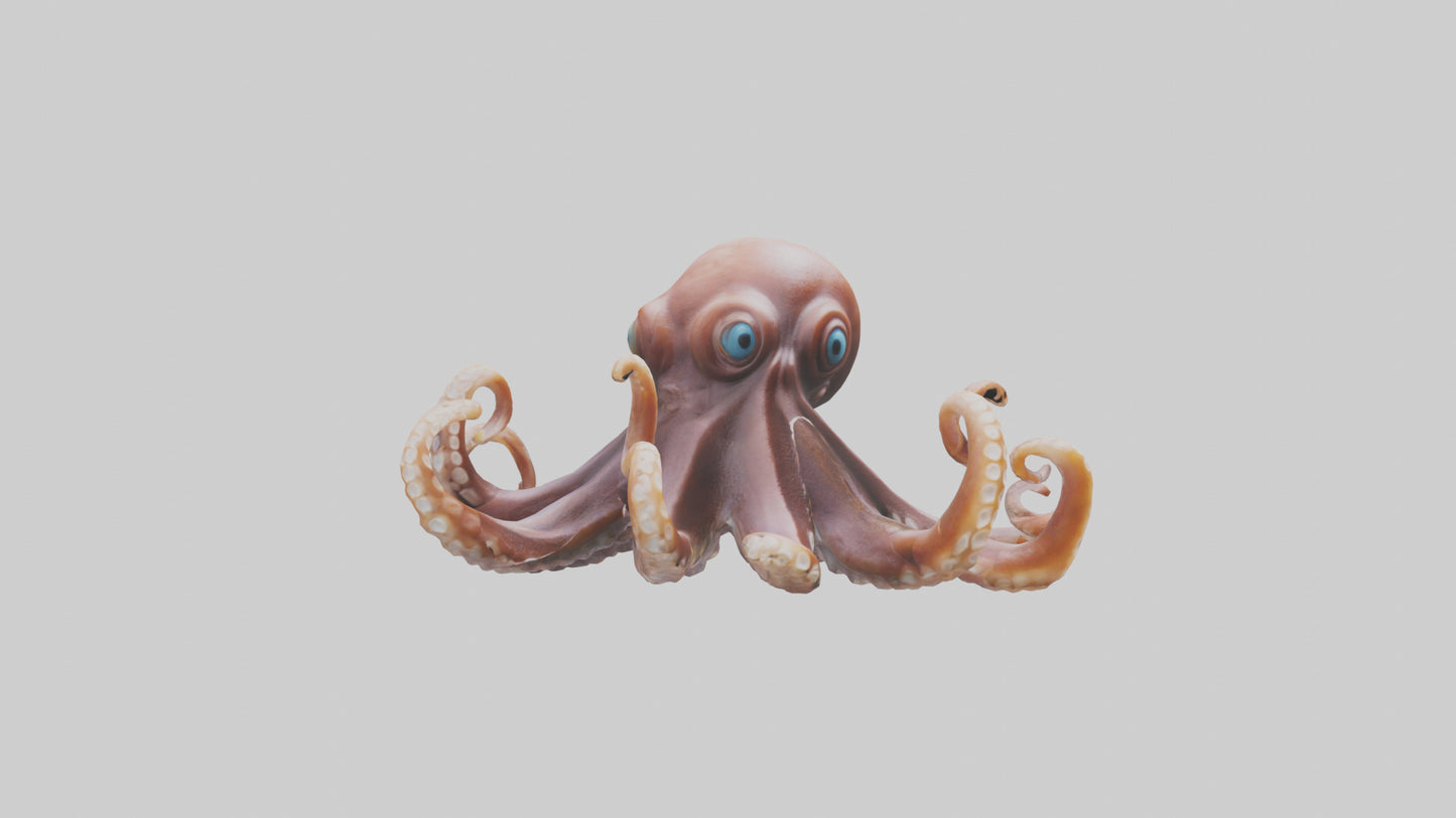 Octopus walking on land model 3D model