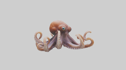 Octopus walking on land model 3D model