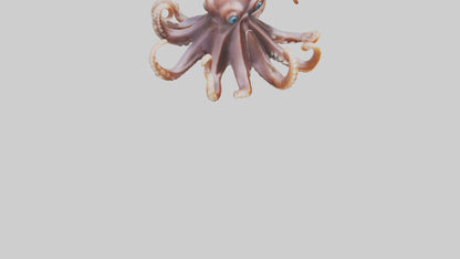 Octopus walking on land model 3D model