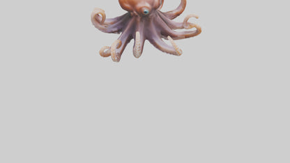 Octopus walking on land model 3D model