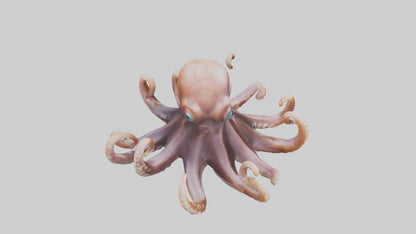 Octopus walking on land model 3D model