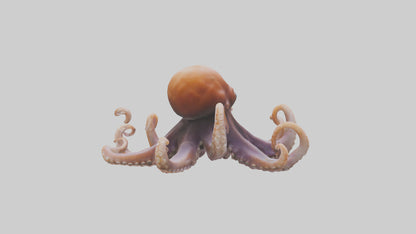 Octopus walking on land model 3D model