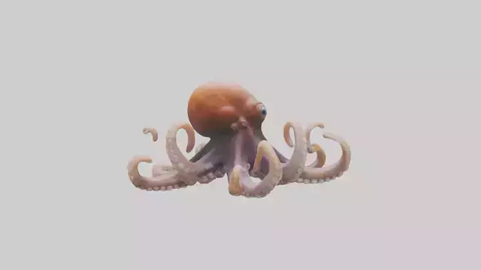 Octopus walking on land model 3D model