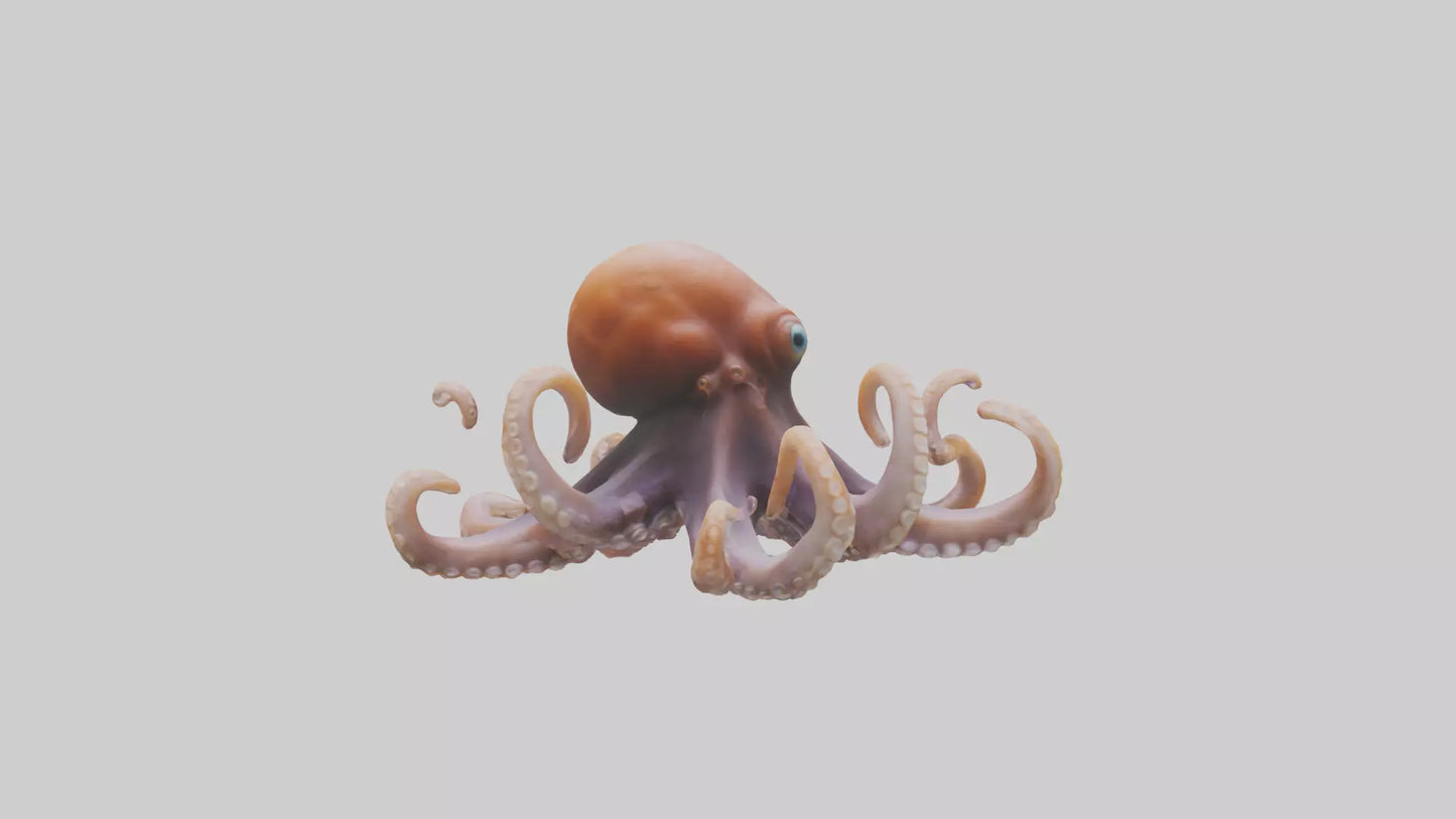 Octopus walking on land model 3D model