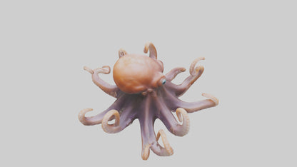 Octopus walking on land model 3D model