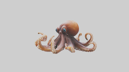 Octopus walking on land model 3D model