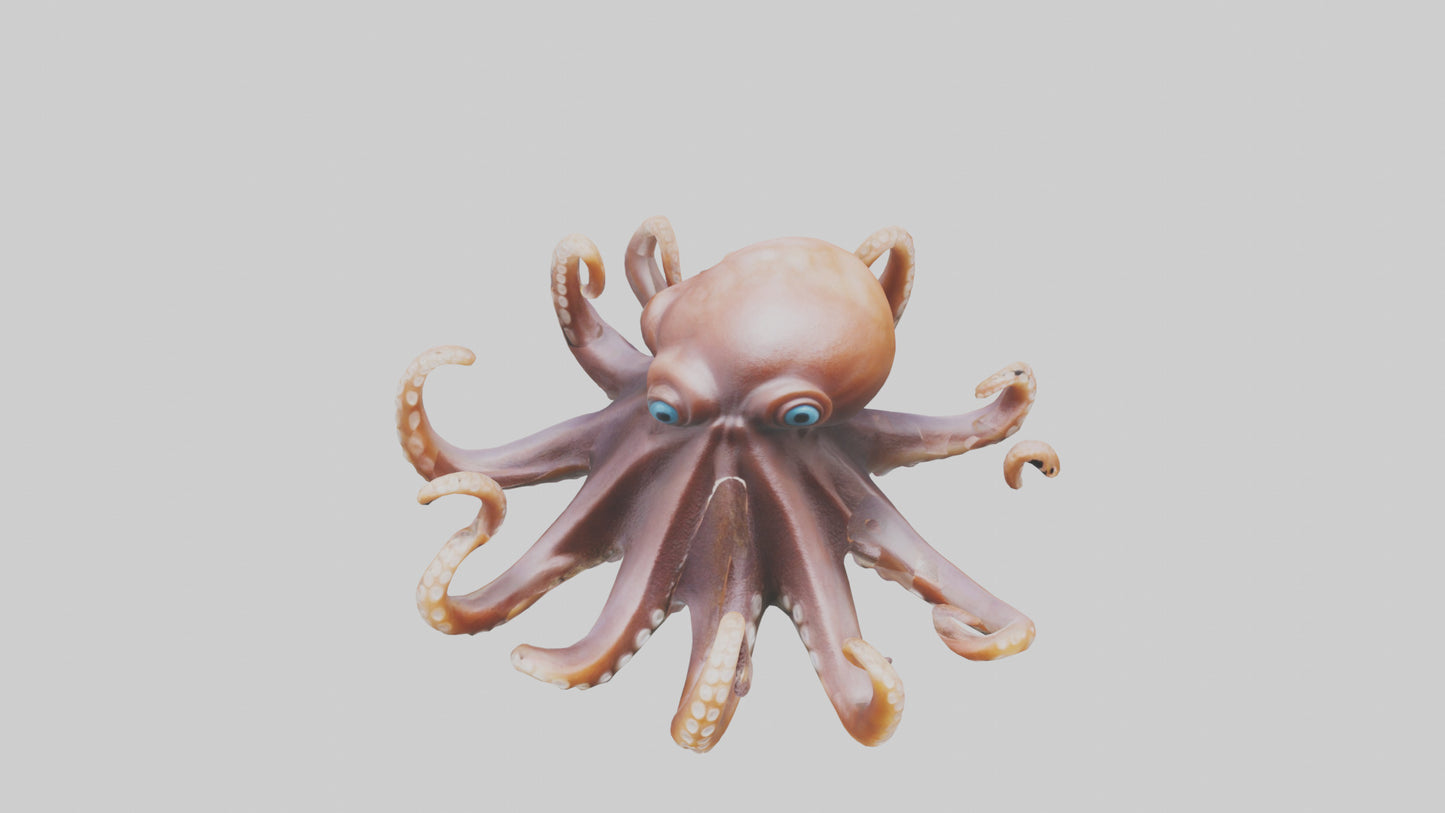 Octopus walking on land model 3D model