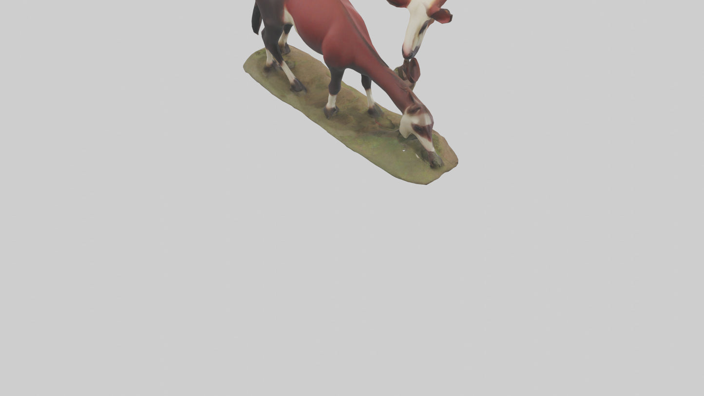Okapi foraging model VR / AR / low-poly