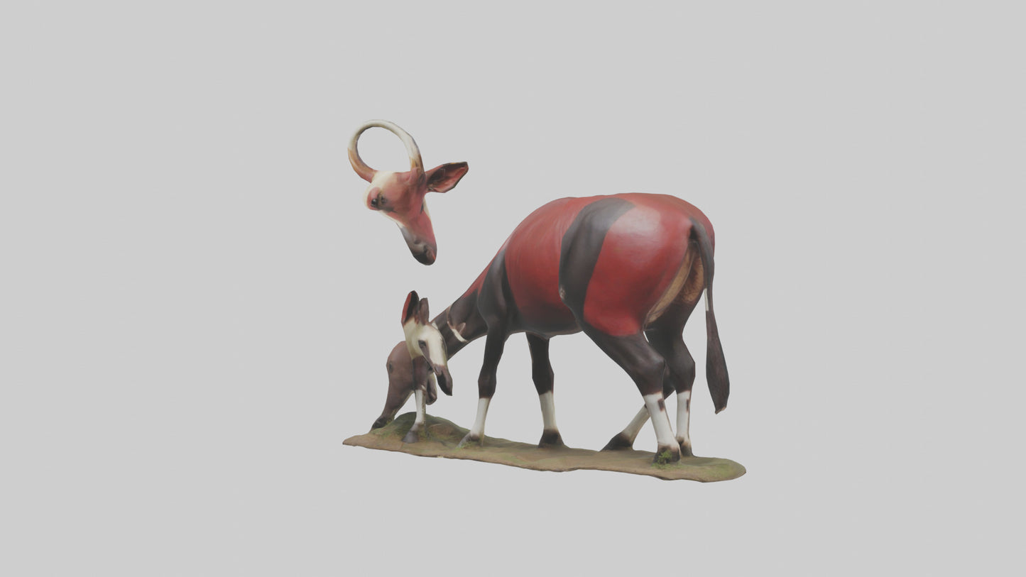 Okapi foraging model VR / AR / low-poly