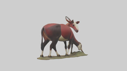 Okapi foraging model VR / AR / low-poly