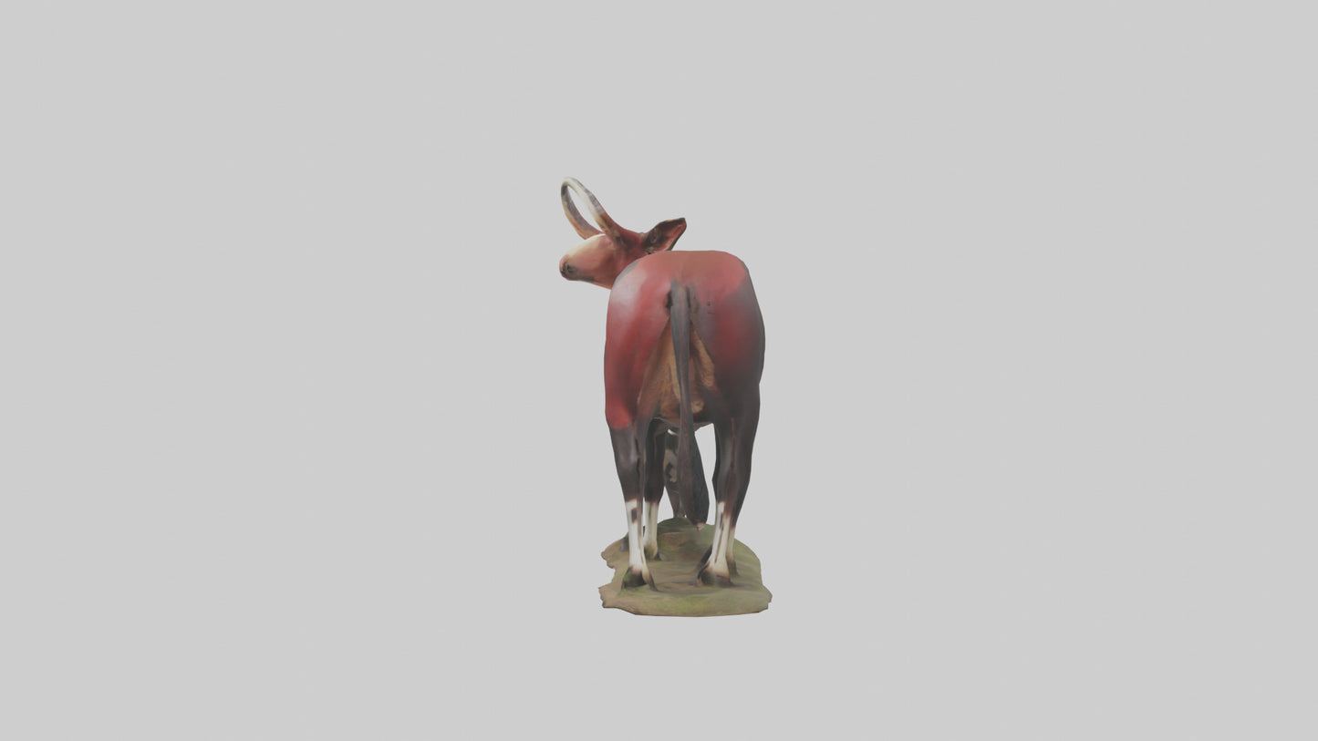 Okapi foraging model VR / AR / low-poly