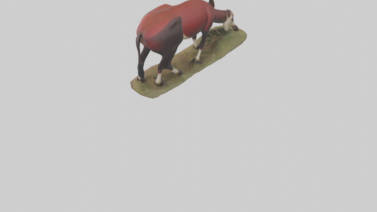 Okapi foraging model VR / AR / low-poly