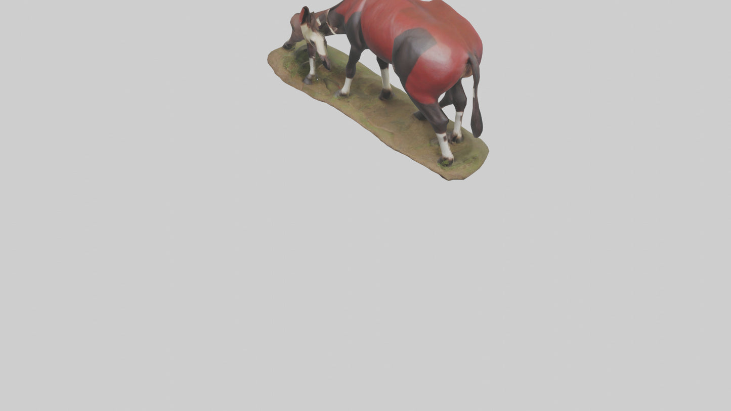 Okapi foraging model VR / AR / low-poly