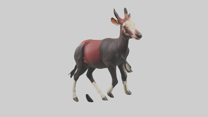 3D model Okapi walking model VR / AR / low-poly