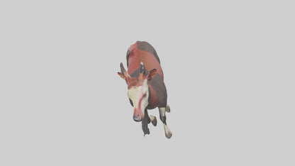 3D model Okapi walking model VR / AR / low-poly
