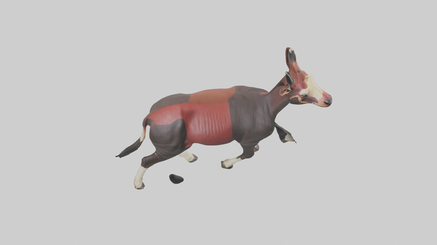 3D model Okapi walking model VR / AR / low-poly