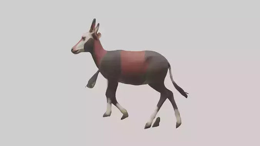 3D model Okapi walking model VR / AR / low-poly