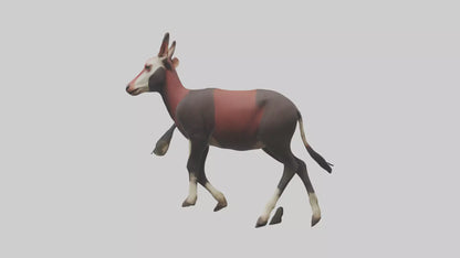 3D model Okapi walking model VR / AR / low-poly