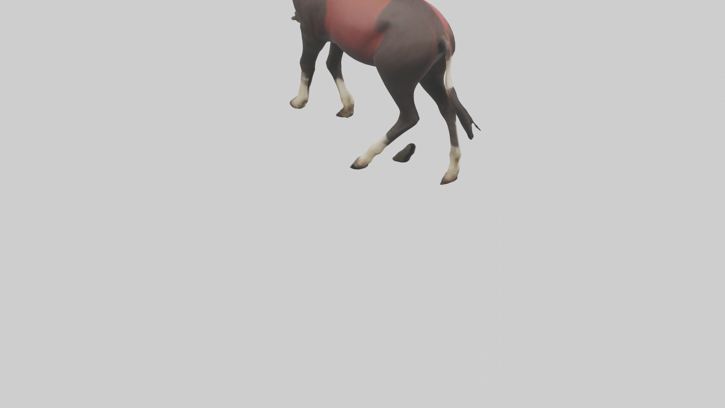 3D model Okapi walking model VR / AR / low-poly