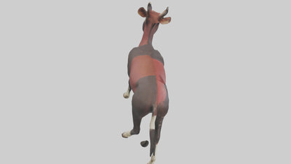 3D model Okapi walking model VR / AR / low-poly
