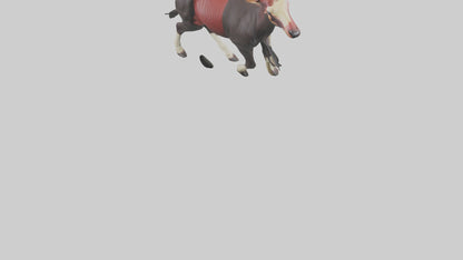 3D model Okapi walking model VR / AR / low-poly