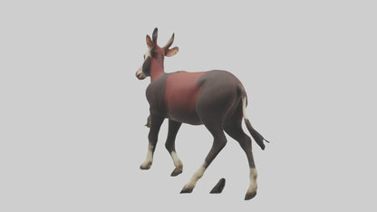 3D model Okapi walking model VR / AR / low-poly