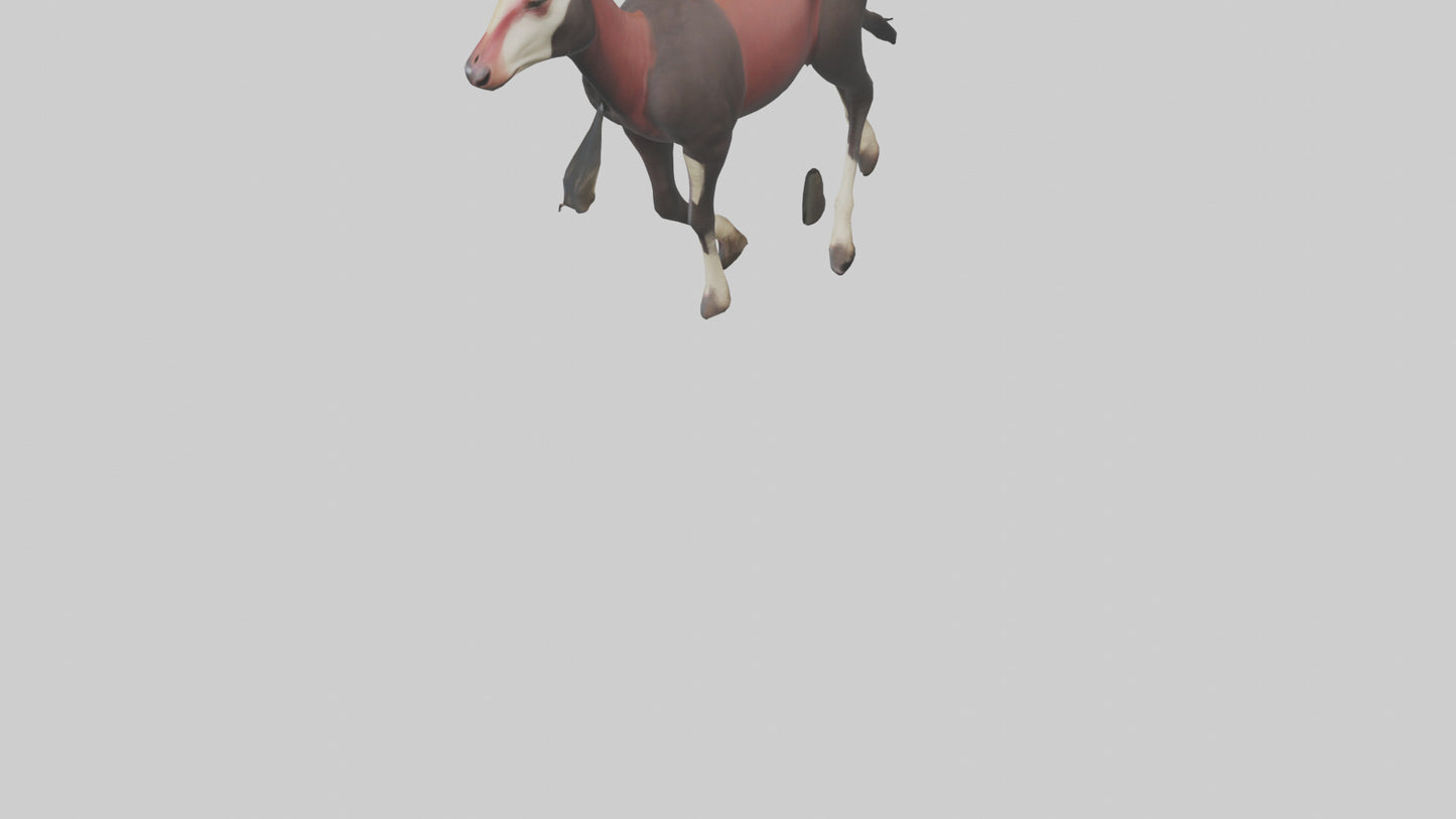 3D model Okapi walking model VR / AR / low-poly