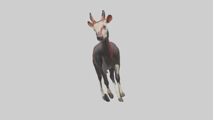 3D model Okapi walking model VR / AR / low-poly