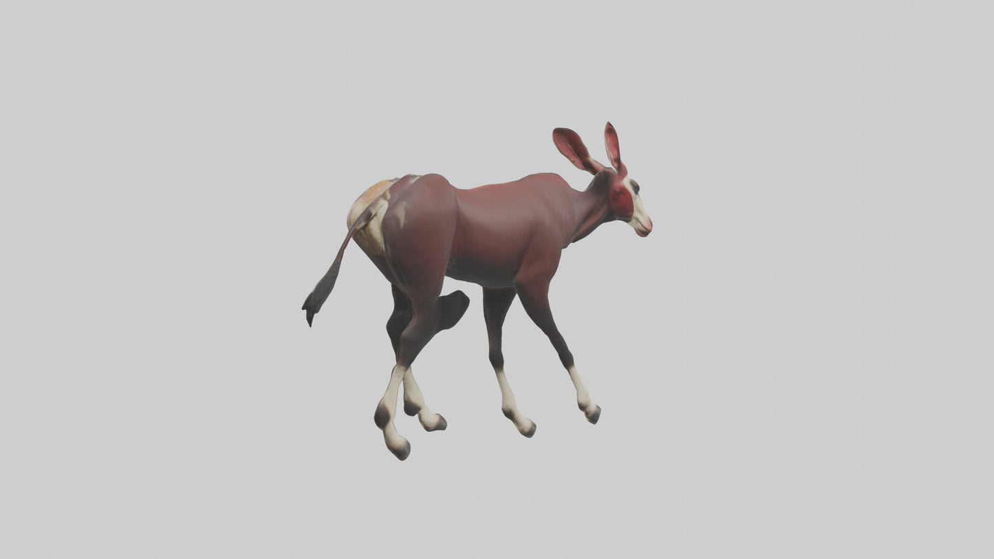 Okapi walking through brush model 3D model